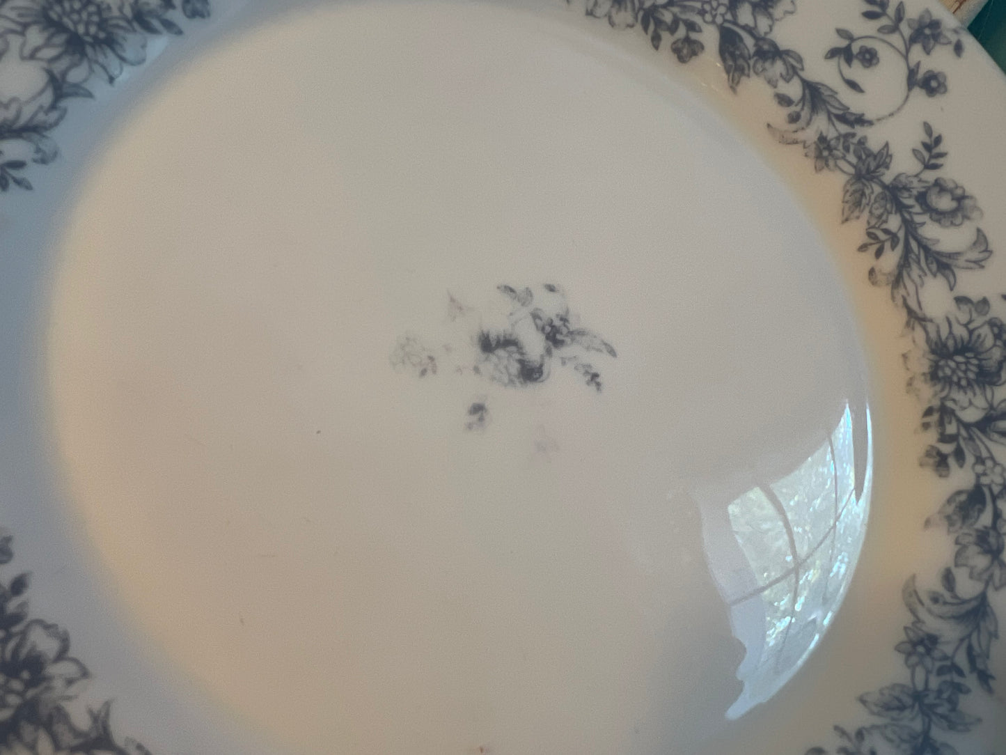 Set of 2 Arcopal France Glenwood 7¾” salad plates with blue floral rim