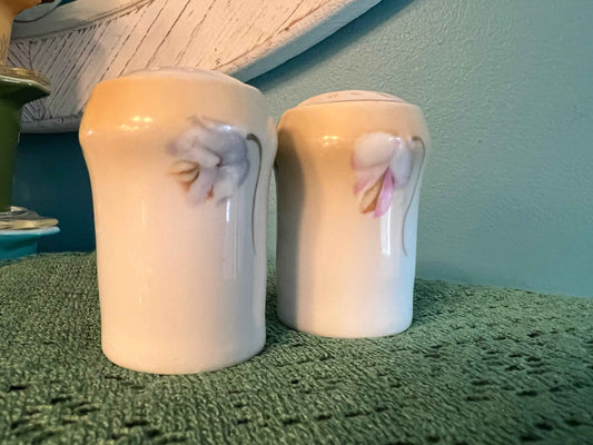 Vintage Regina Ware Germany Handpainted Salt & Pepper Shaker Set – 1960s Cottagecore Collectible