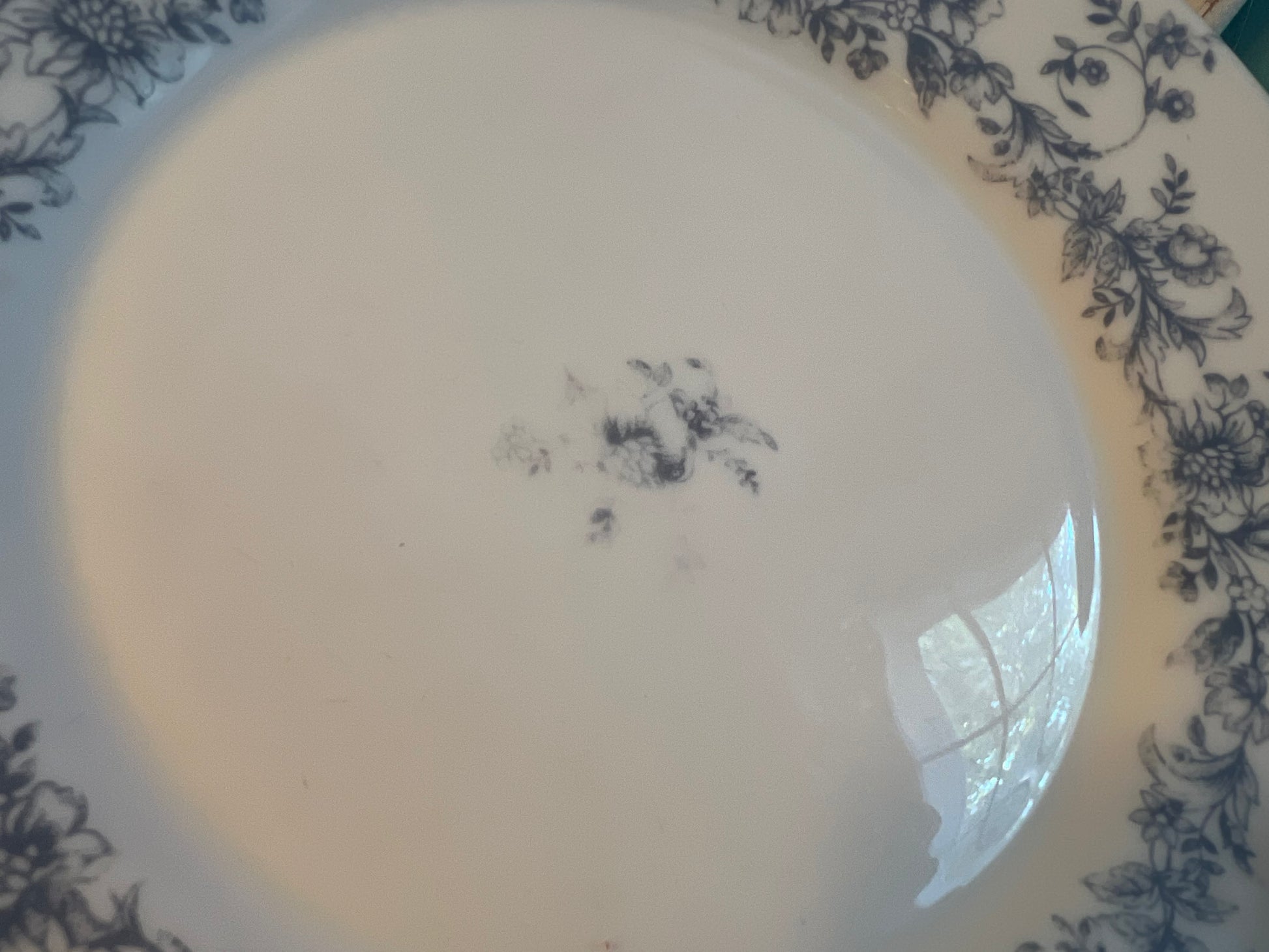 Set of 2 Arcopal France Glenwood 7¾” salad plates with blue floral rim