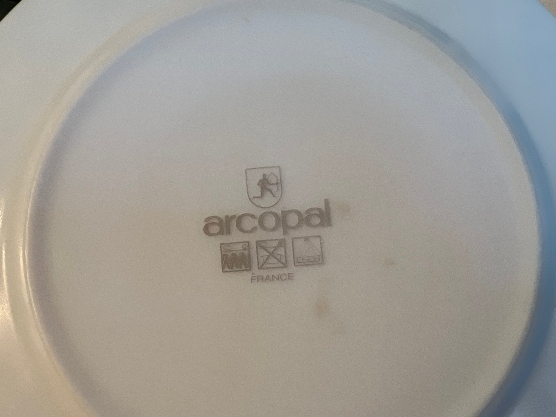 Set of 2 Arcopal France Glenwood 7¾” salad plates with blue floral rim