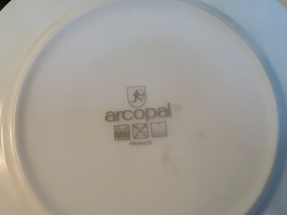 Set of 2 Arcopal France Glenwood 7¾” salad plates with blue floral rim