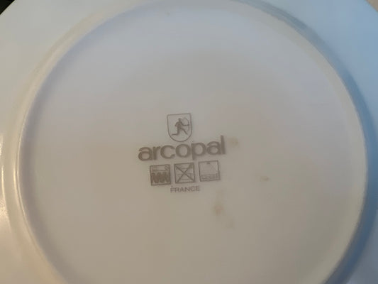 Set of 2 Arcopal France Glenwood 7¾” salad plates with blue floral rim