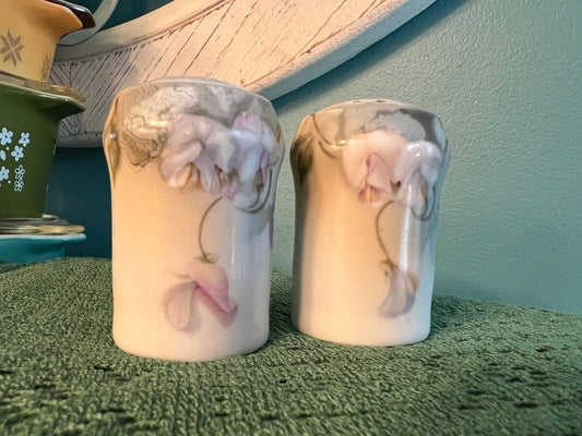 Vintage Regina Ware Germany handpainted salt and pepper shaker set for cottagecore homes