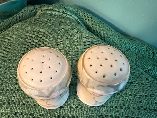 Cottagecore Regina Ware vintage salt and pepper set handpainted in Germany